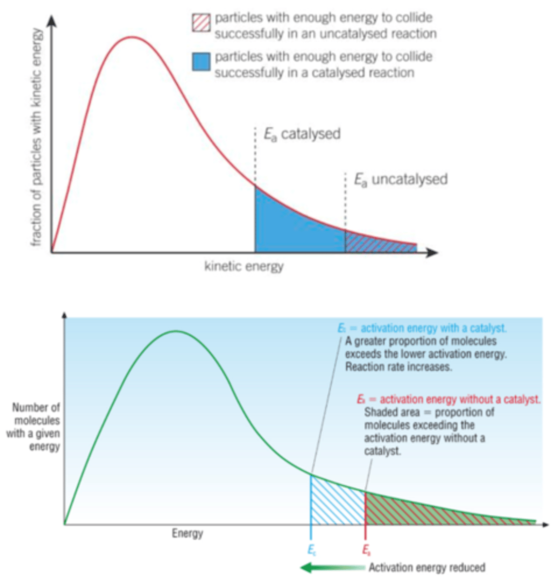 <p>A catalyst increases the rate of a chemical reaction without being used up in the process</p>