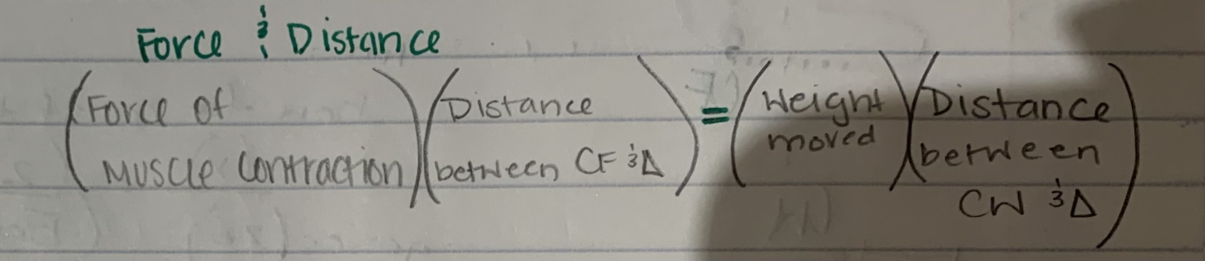 <p>(Force of muscle)(Distance between CF and fulcrum) = (Weight moved)(Distance between CF and fulcrum)</p>