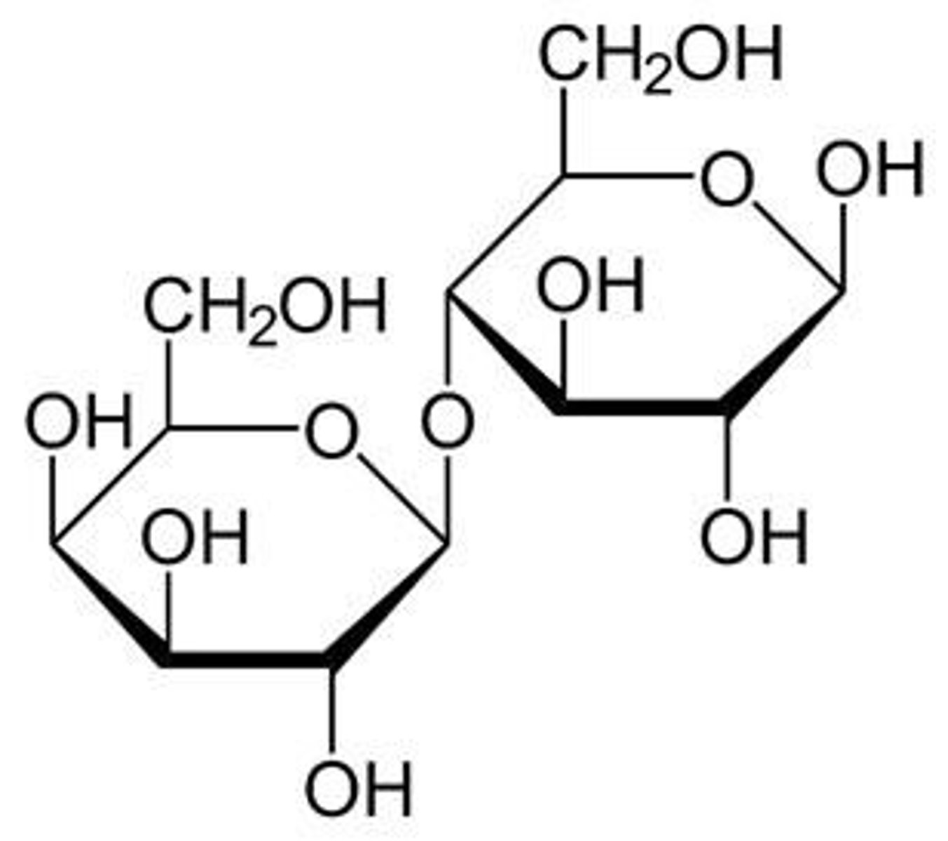 <p>A linear homopolysaccharide of N-acetylglucosamine found in cell walls of mushrooms and exoskeletons of arthropods.</p>