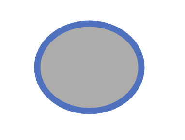 outside of the cell = 
blue layer =
inside of the cell = 
