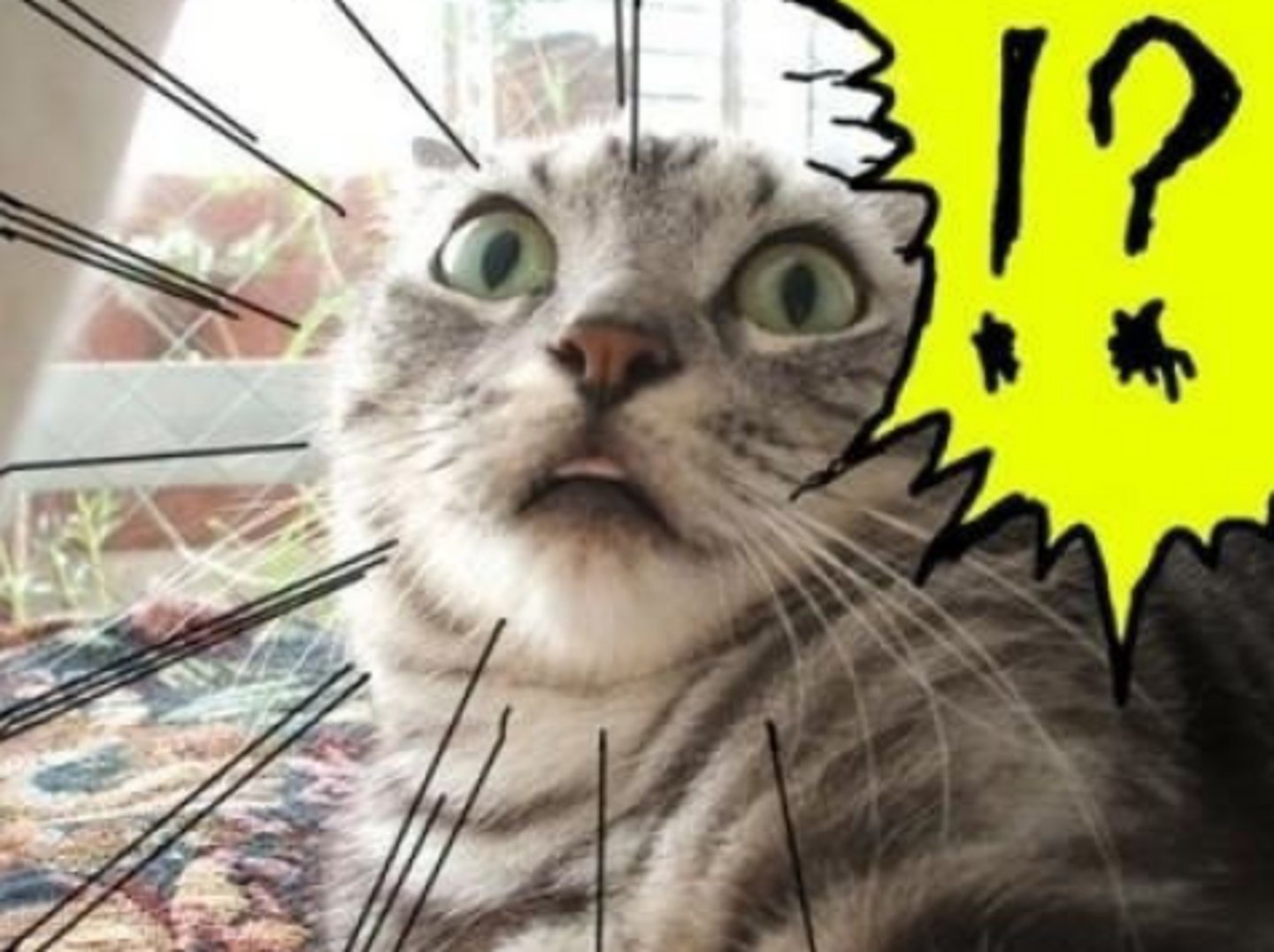 <p>to be very surprised or confused about sth</p>