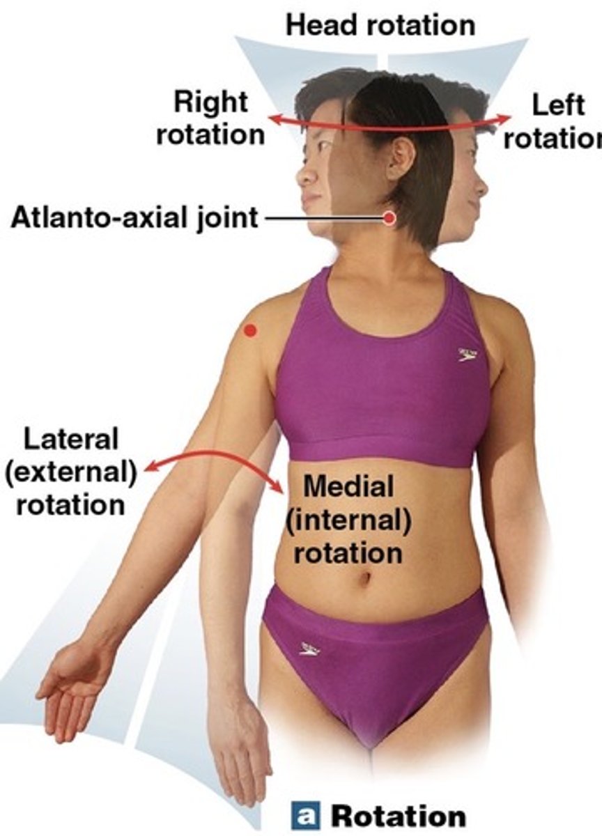 <p>Rotation toward the midline</p>