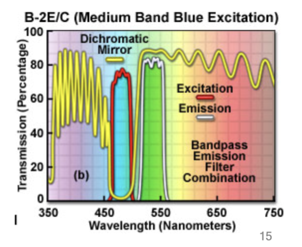 <p>based on the spectrum of the fluorophore, you need to construct a set of …</p>