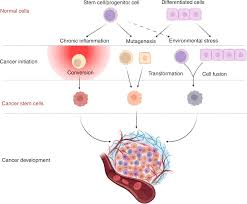 <p><span style="font-family: Aptos, sans-serif; line-height: 115%;"><strong><span>How does chronic inflammation promote cancer?</span></strong></span></p>