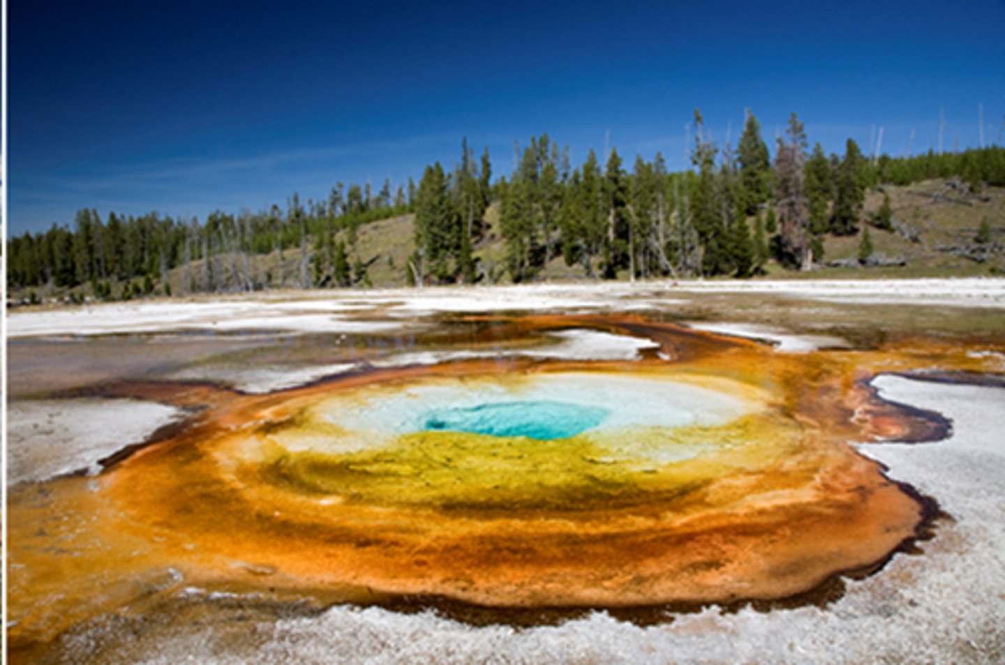 <p>Archea that are found in isolated harsh environments: extremely high temperatures, high salinity, or no light</p>