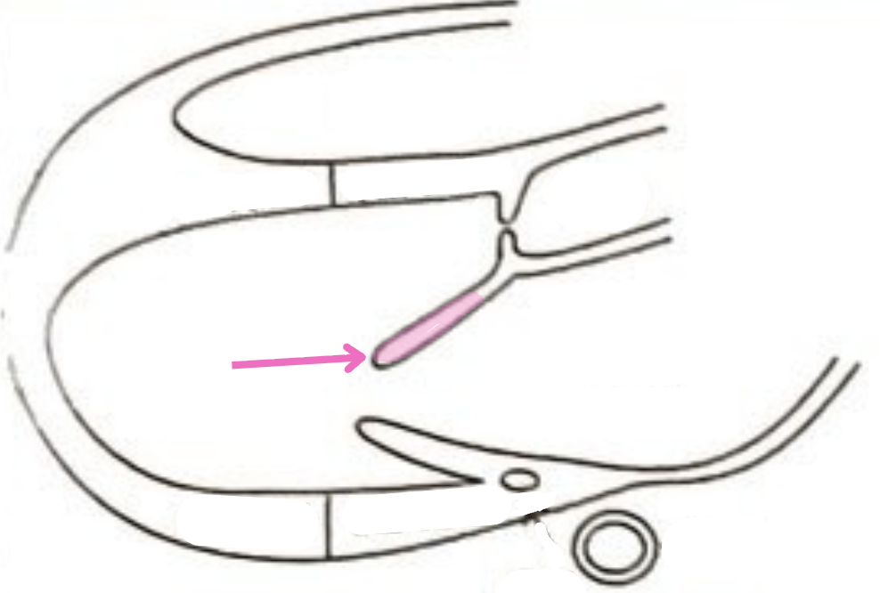 <p>What is this structure?</p>