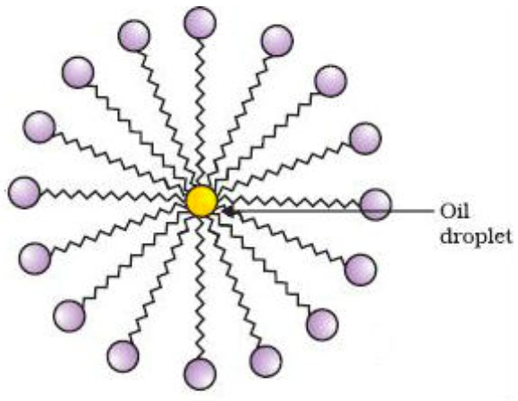 <p>micelle </p><p></p>