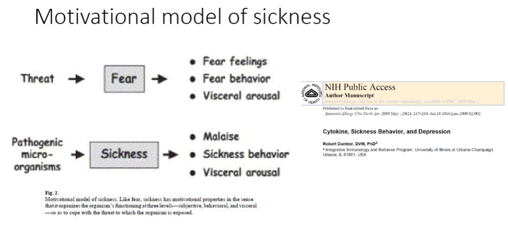 <p><strong>Threat</strong><br>āExposure to stressors</p><p><strong>Fear Response</strong><br>ā<strong>Fear feelings</strong> ā subjective emotional response<br>ā<strong>Fear behavior</strong> ā observable actions (e.g., withdrawal, avoidance)<br>ā<strong>Visceral arousal</strong> ā physiological changes preparing the body for threat (e.g., heart rate, respiration, hormone release)</p><p><strong>Pathogenic Micro-organisms</strong><br>āExposure to <strong>pathogenic micro-organisms</strong></p><p><strong>Sickness Response</strong><br>ā<strong>Malaise</strong> ā general feeling of unwellness<br>ā<strong>Sickness behaviour</strong> ā coordinated set of behaviours triggered by illness (e.g., lethargy, reduced appetite, social withdrawal)<br>ā<strong>Visceral arousal</strong> ā physiological changes accompanying sickness (e.g., inflammation, immune activation, altered metabolism)</p><p><strong>Key Concept</strong><br>āSickness behaviour is part of a <strong>motivational system (goal-directed behavior)</strong>, directing animals to conserve energy and cope with disease or infection</p>