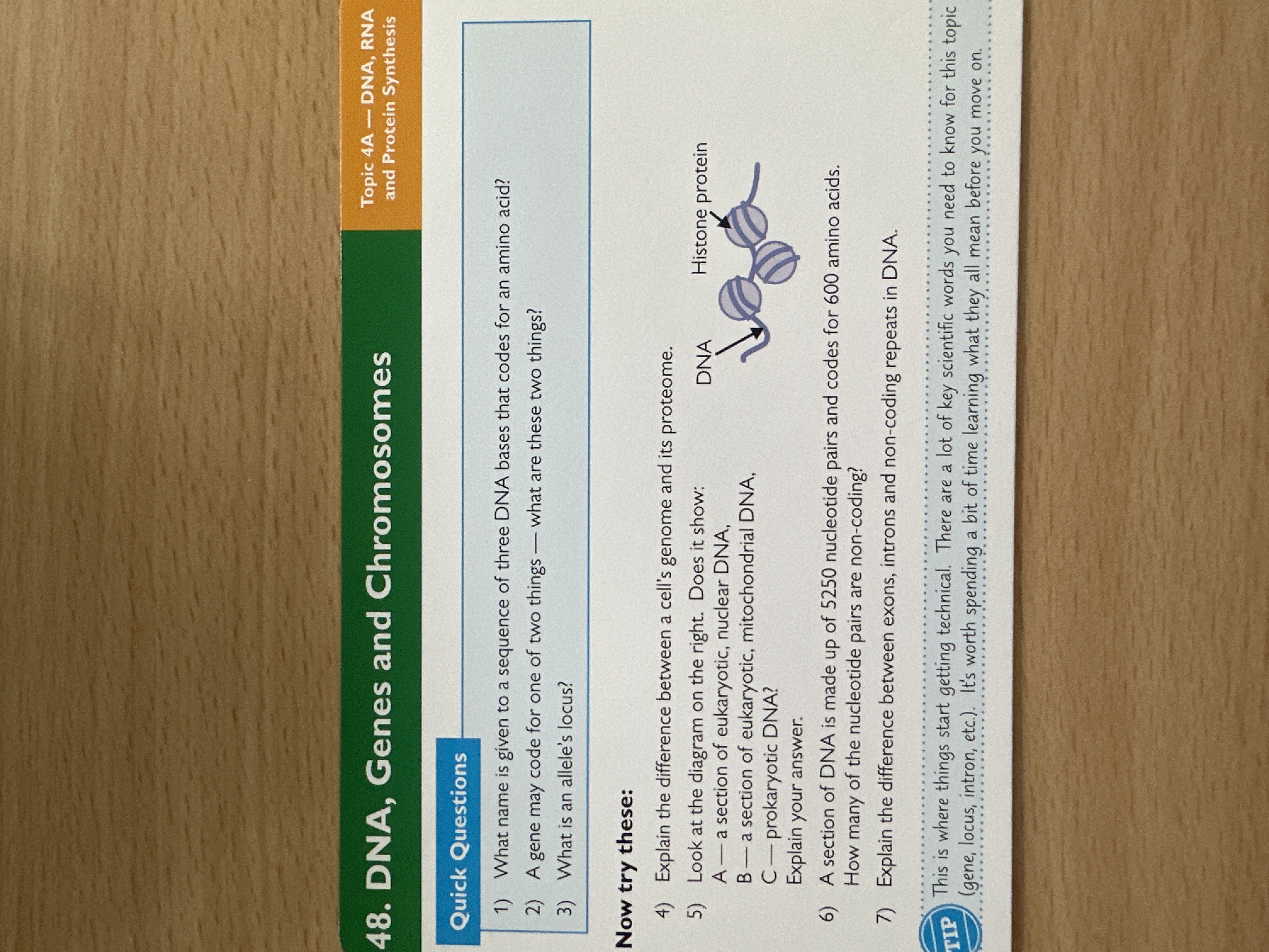 DNA, genes, chromosomes 