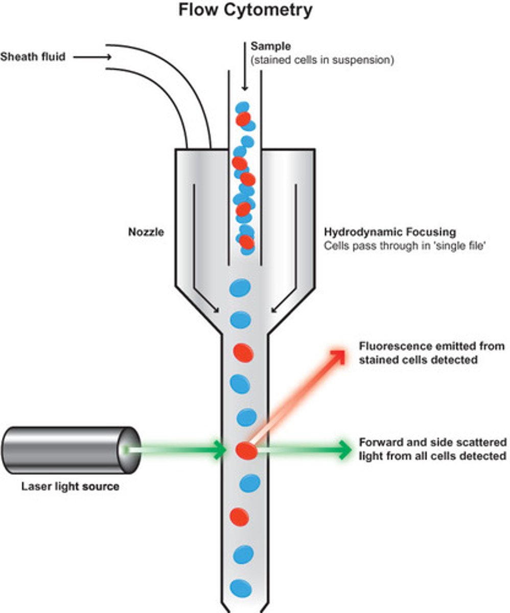 <p>Optical scatter</p>