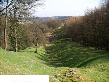 <p>Wat? + periode?</p>