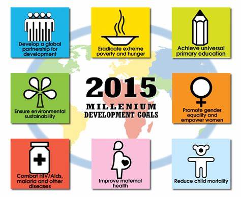 <p>millennium development goals</p>