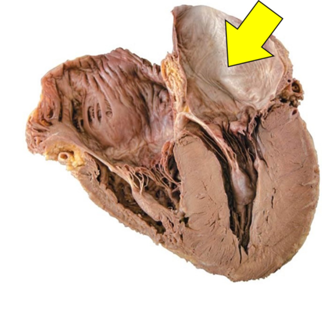 <p>Name the space.</p>