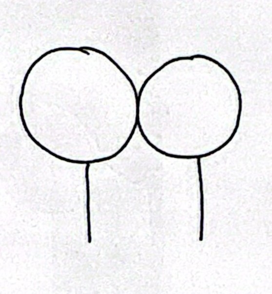 <p>Demonstrate charging a conductor by induction • 1 </p>