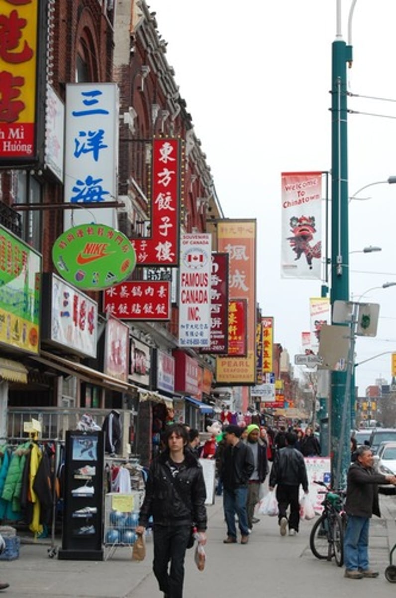 <p>A small area occupied by a distinctive minority culture.</p>