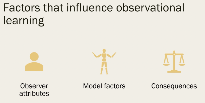 <p>Factors that Influence Social Learning</p>