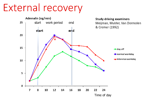 <p>~ recovery is slower after an intensive work-day, adrenaline levels stay up higher for longer</p><p></p><p>~ when adrenaline goes lower, less people pass the exams</p>