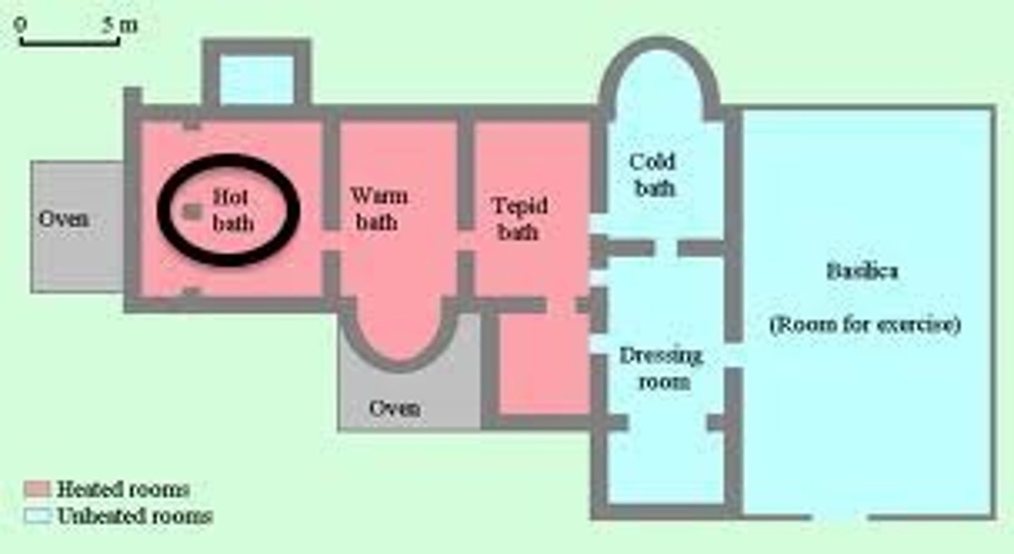 <p>The hot-bath section of a Roman bathing establishment</p>