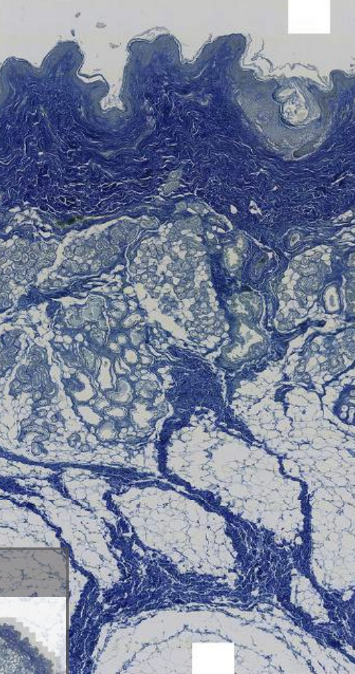 <p>What is this?</p>