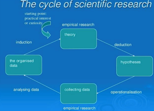 theory → hypotheses → collecting data → the organized data →
