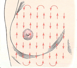 <p>start high in the axilla and move down and up medially to the sternal edge</p>