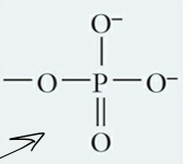 <p>What is this functional group and describe it?</p>