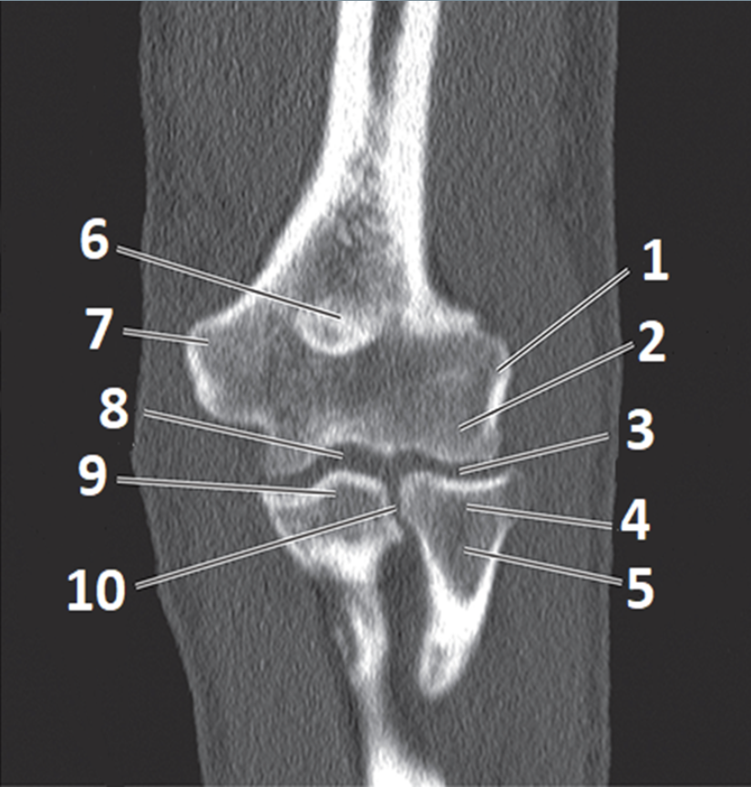<p>8</p>