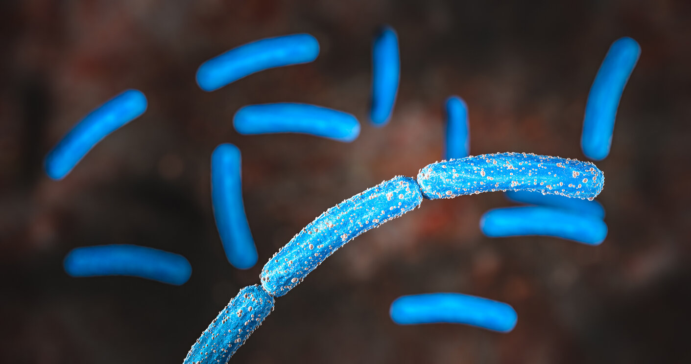 <ul><li><p>low C/G to A/T</p></li><li><p>some produce endospores: resistant seeds that only germinate in ideal conditions</p></li><li><p>anthrax, MRSA, etc</p></li></ul><p></p>