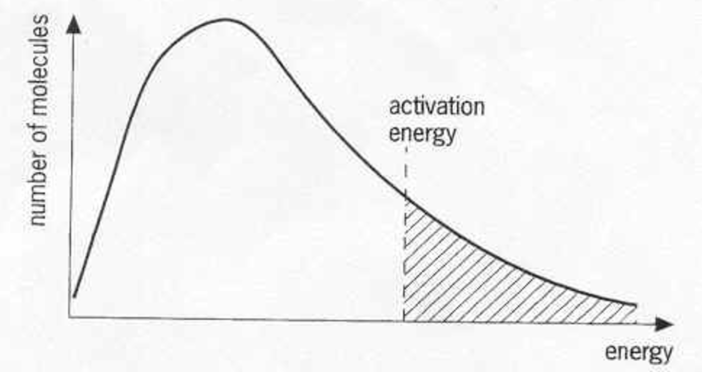 <p>-Since there are no molecules with no energy in a sample</p>