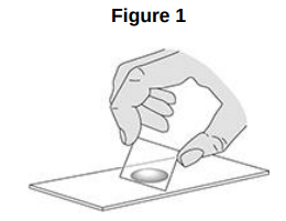 <p>A student prepared some animal cells to view using a microscope. Figure 1 shows the student preparing the cells.</p><p>Name two pieces of laboratory equipment the student could have used to prepare cells to view using a microscope.</p>