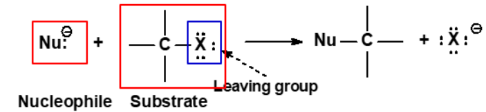 <ul><li><p>Is any negative ion or neutral molecule which possesses a long-pair of electrons and are attracted to a positive center. </p></li><li><p>Is also a base (lewis base). </p></li></ul><p></p>