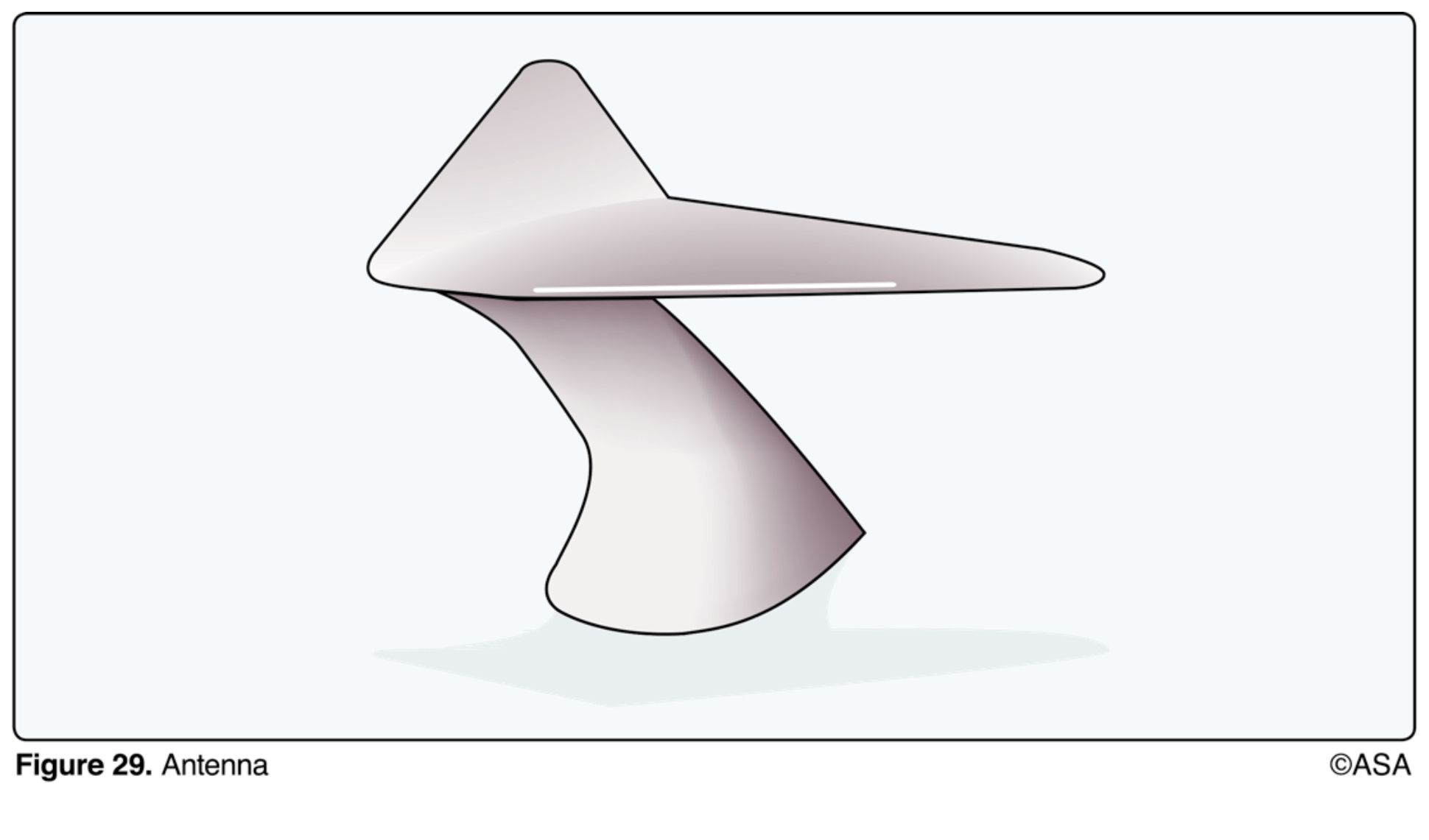 <p>(Refer to Figure 29) What kind of antenna is this?</p>