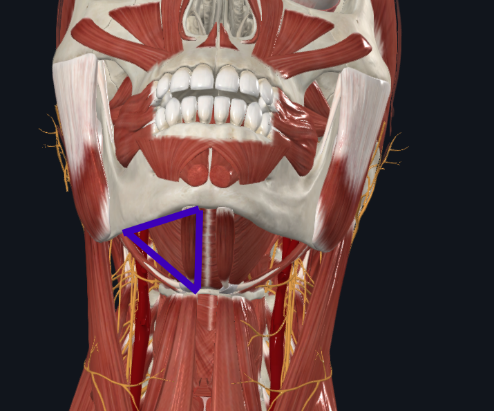 <p>What does this triangle refer to</p>