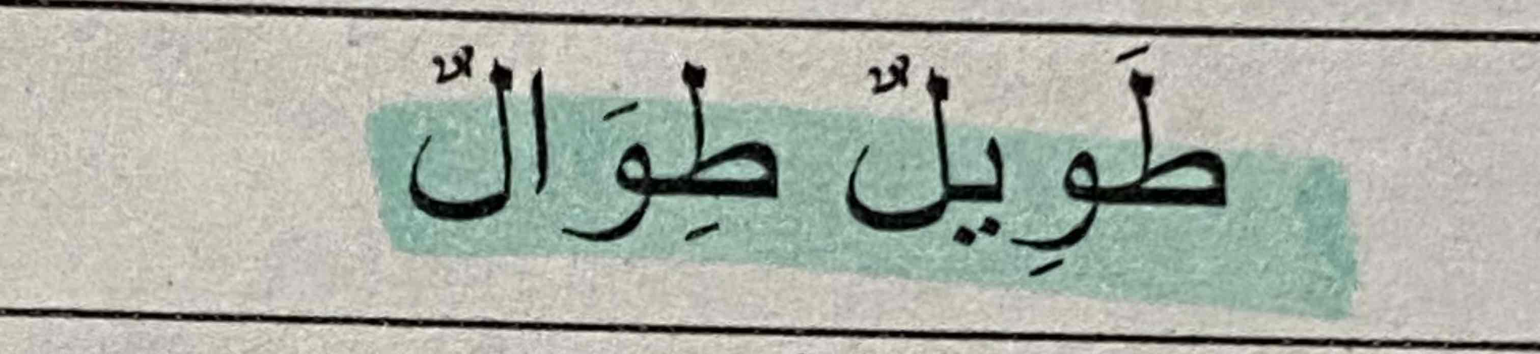 <p>Arabic</p>