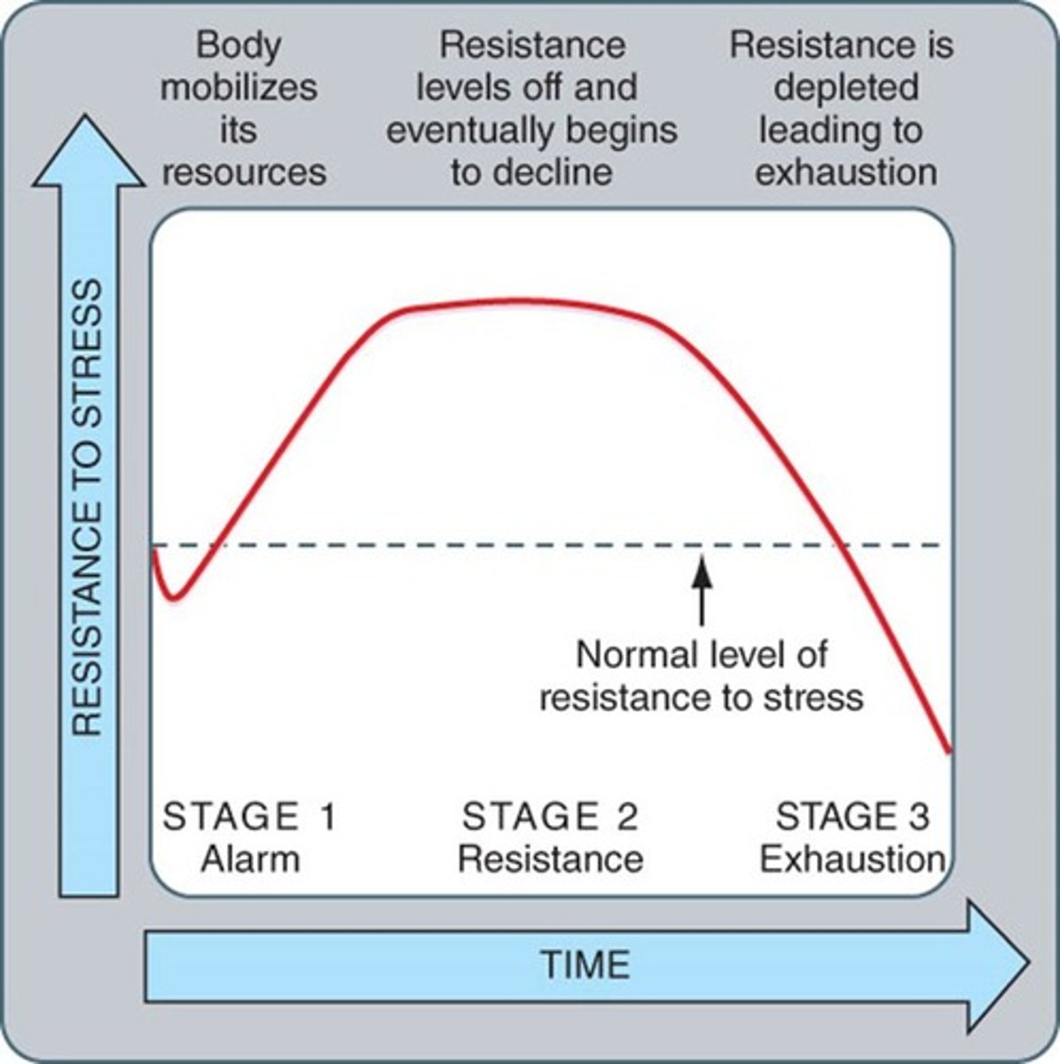 <p>Observed bodily changes produced by stress; has three stages: alarm, resistance/adaptation, exhaustion.</p>