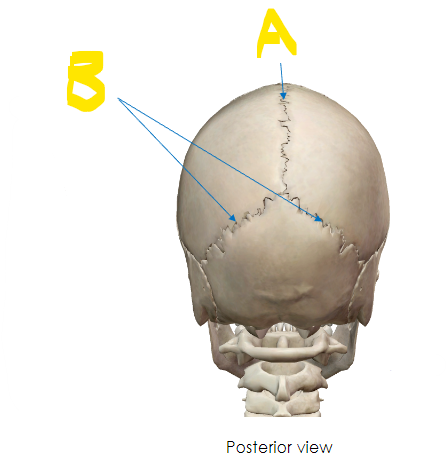 <p>What are A and B?</p>