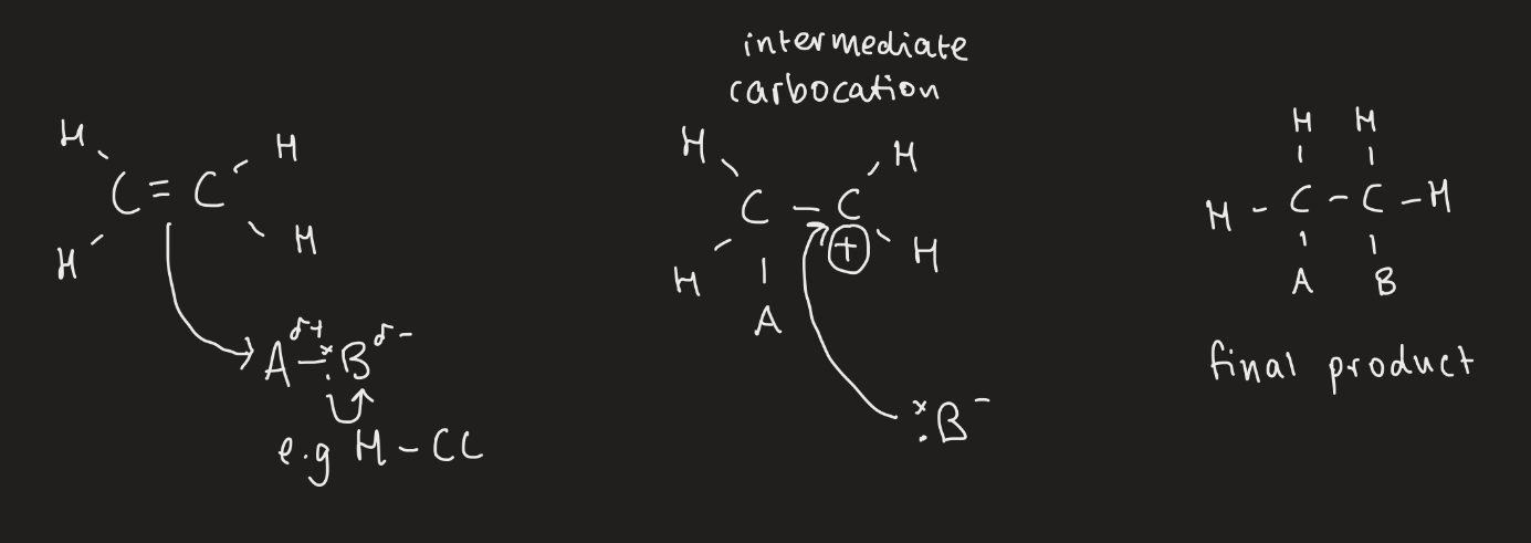 <ol><li><p>A pair of electrons are transferred from C=C bond to electrophile (the delta positive region)</p></li><li><p>The bond in the electrophile is broken </p></li><li><p>A positive ion called a carbocation is produced and a negative ion is produced from the original electrophile </p></li><li><p>The negative ion bonds with the carbocation </p></li></ol><p></p>