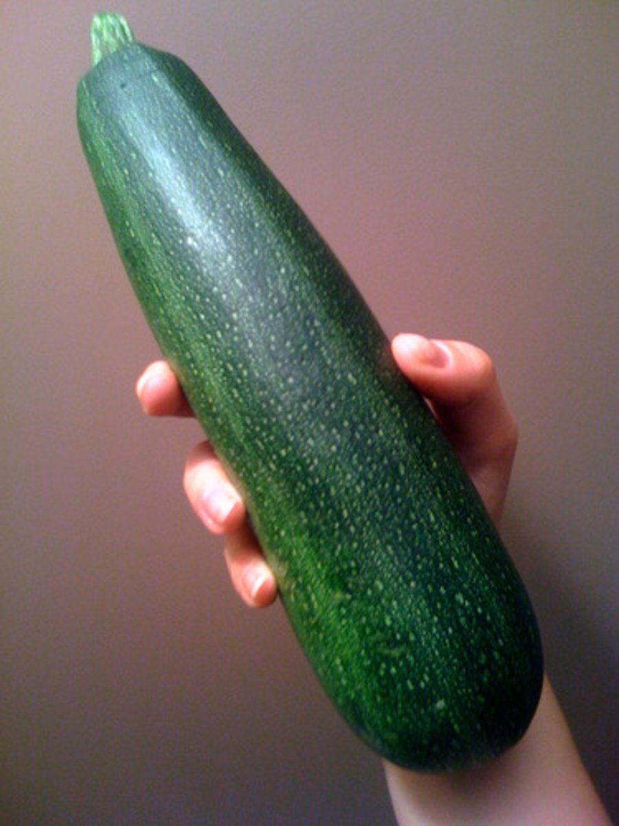 <p>кабачок, цукини</p>