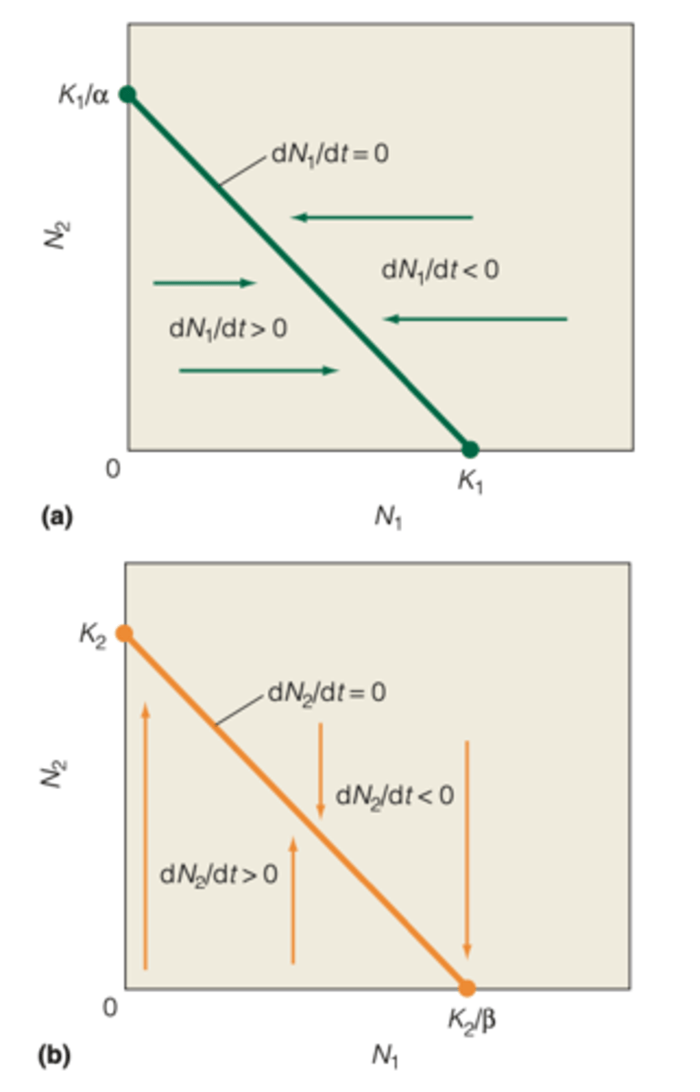 <p>FOR DEER:</p><p>carrying capacity for deer is K1 and as N1 approaches K1, the population growth (dN1/dt) approaches 0 </p><p>----------------</p><p>FOR ELK:</p><p>ELK is also vying for the limited resource that determines K1, so we must consider the impact of species 2. Because α is the per capita effect of species 2 on species 1, the total effect of species 2 on species 1 is aN2, and as the combined population N1 + aN2 approaches K1, the growth rate of species 1 approaches zero as well.</p>