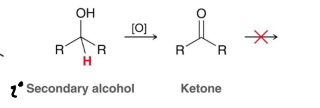 <p>Ketones</p>