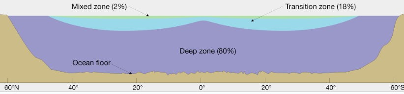 <p>Shallow Surface/Mixed zone —&gt; 2%</p><p>Transition Zone —&gt; 18%</p><p>Deep Zone —&gt; 80% (only thing found in high latitudes because of constant temperature &amp; density)</p>