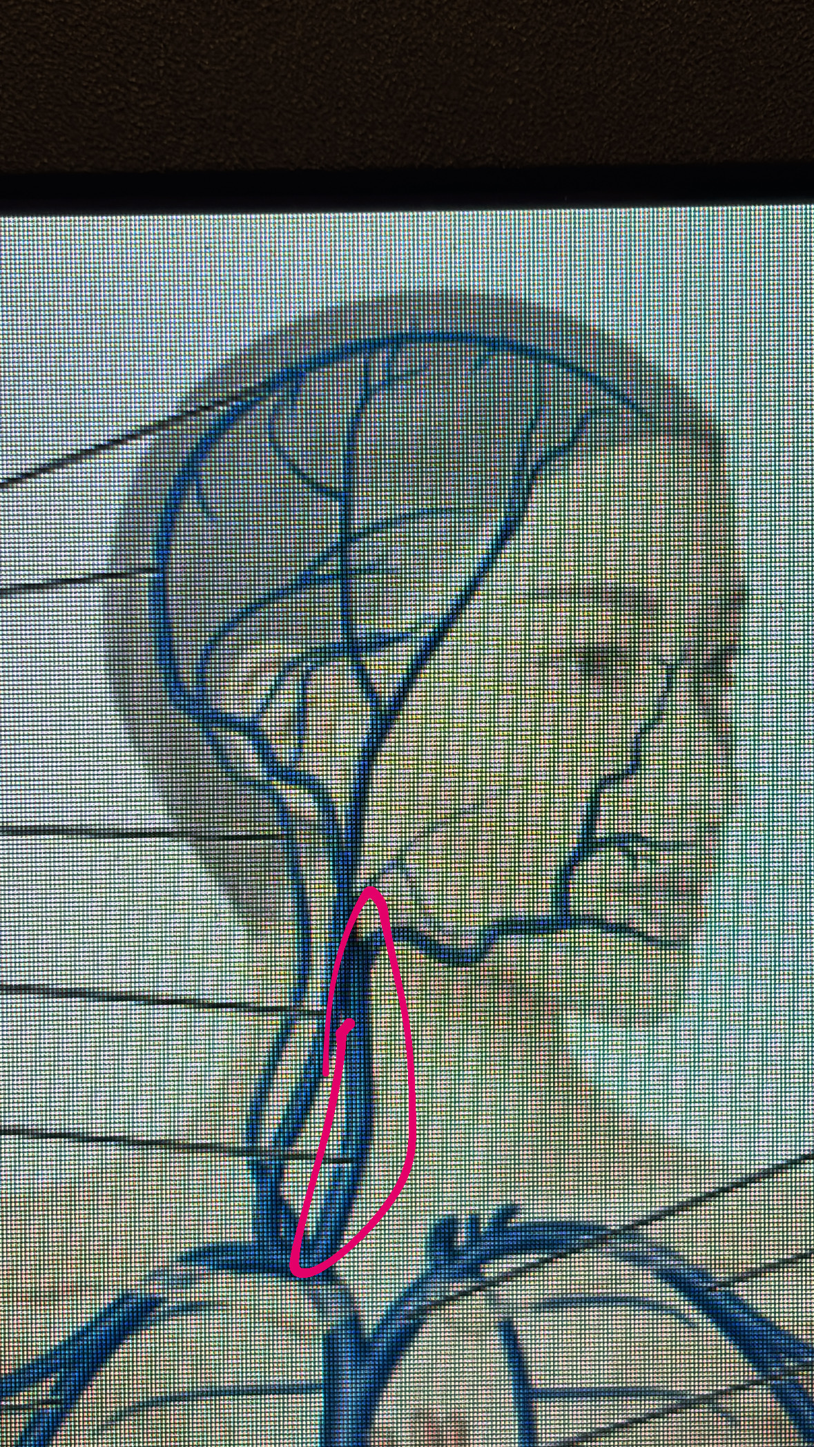 knowt flashcard image