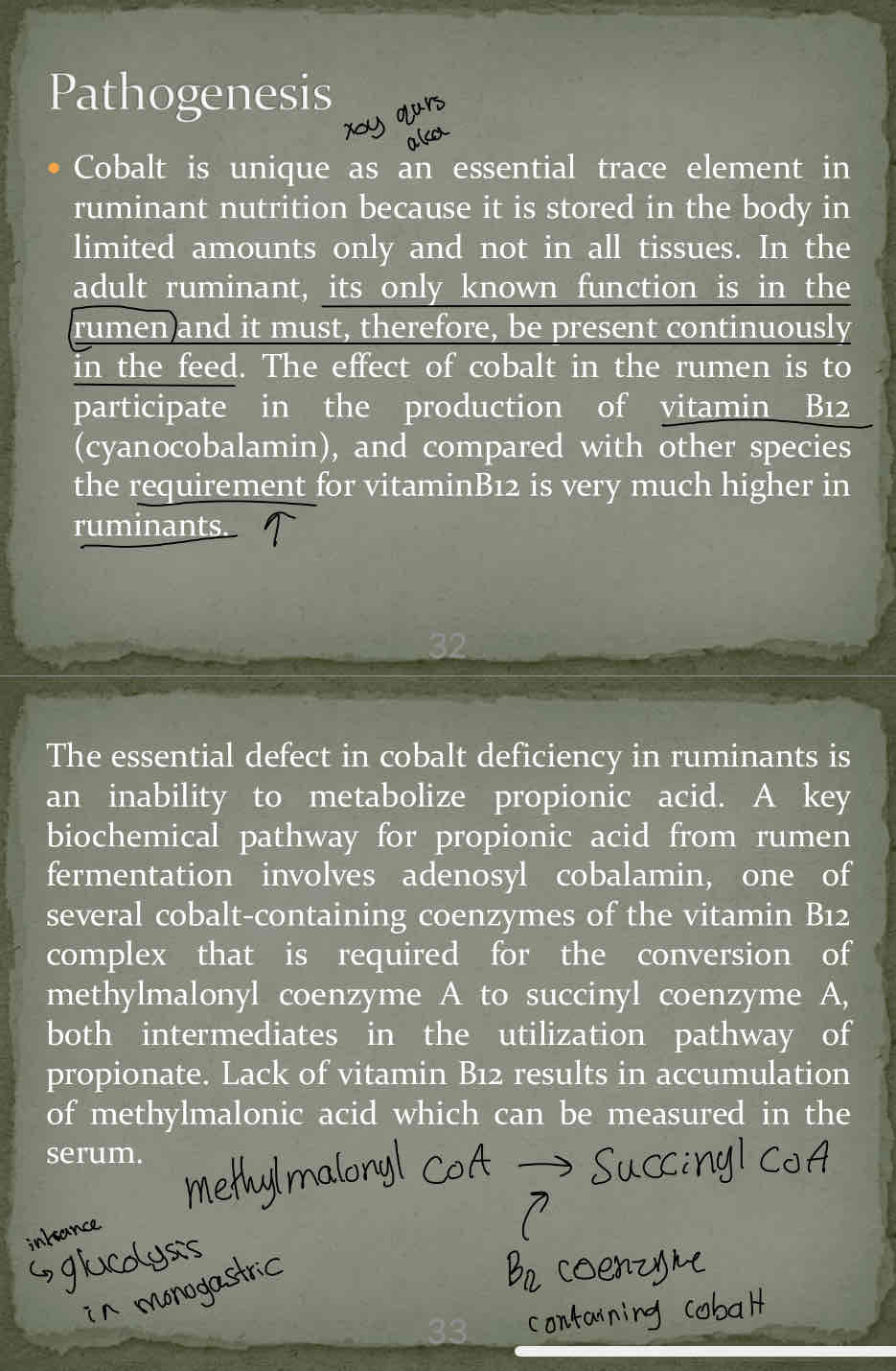 knowt flashcard image