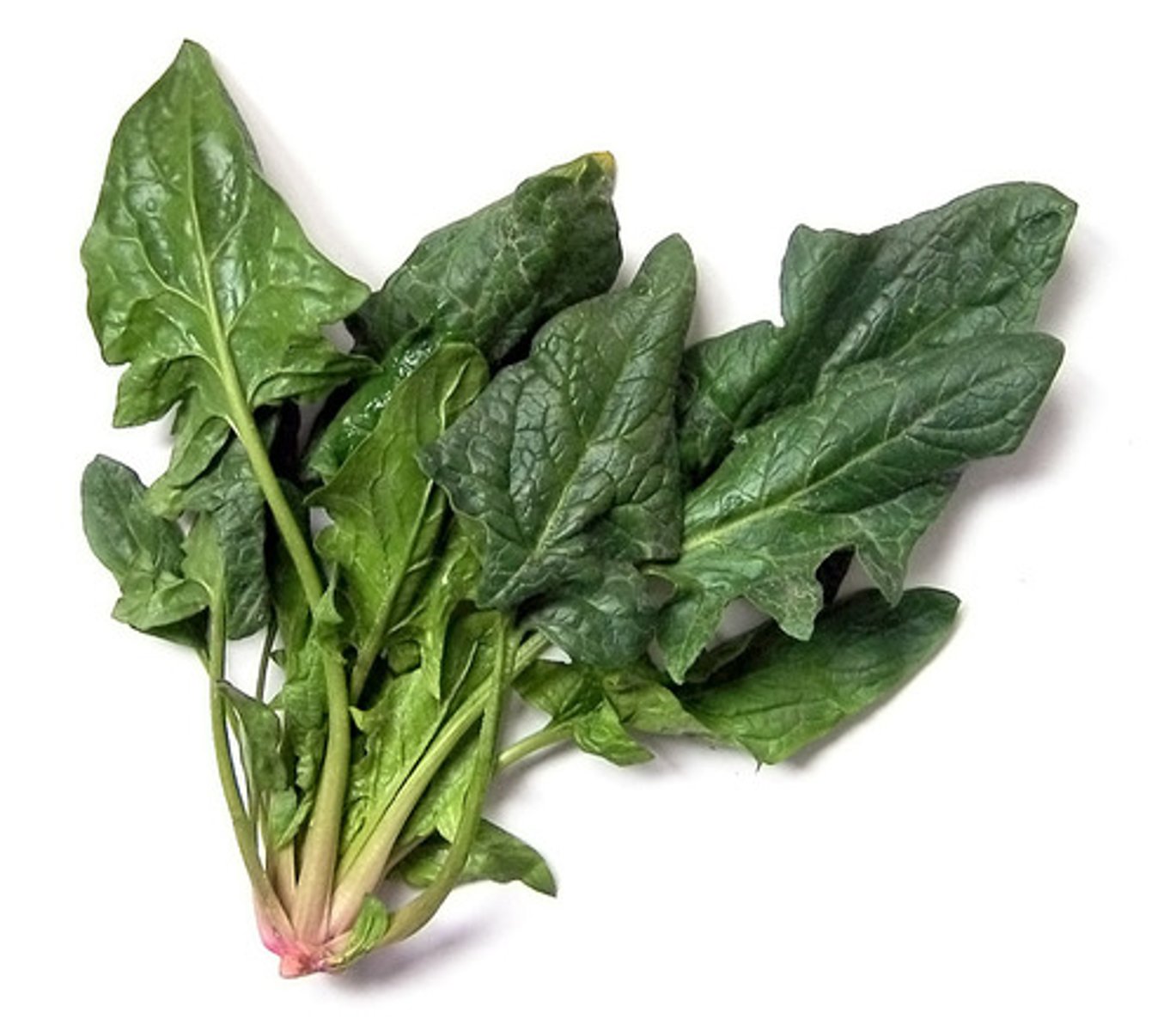 <p>spinach</p>