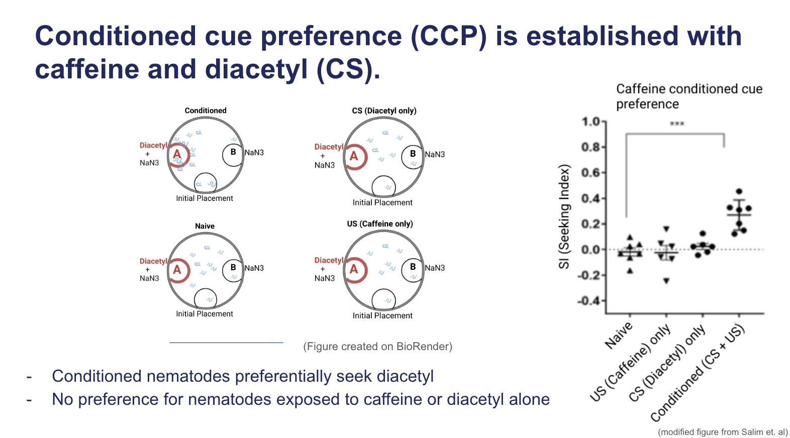 <p><span><strong>Conditioned cue preference (CCP) is established with caffeine and diacetyl (CS).</strong></span></p>