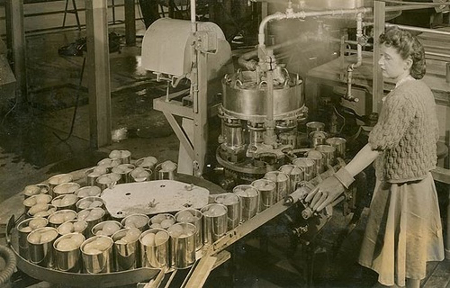 <p>canning company</p>
