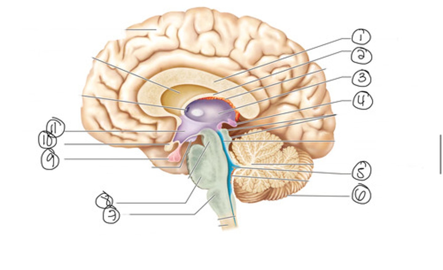 <p>What is number 10?</p>
