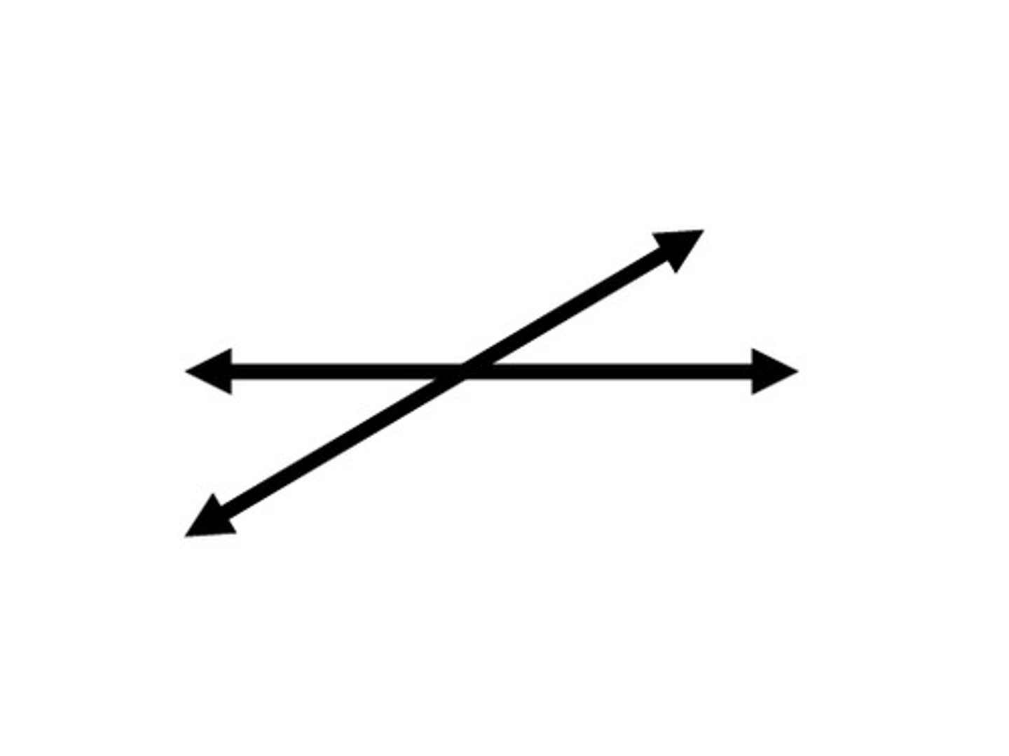 <p>lines that cross at one point</p>