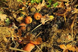 <ul><li><p><span>A reaction where a single compound breaks down into two or more simpler products</span></p></li><li><p><span>Decomposition reactions are unique because the have one reactant and two products.</span></p></li><li><p><span>Require some form of energy to break the initial compound</span></p></li><li><p><span>XY &nbsp; &nbsp; &nbsp; &nbsp; &nbsp; X+ Y</span></p></li></ul><p><span>Example:&nbsp; 2HgO (s) &nbsp; &nbsp; &nbsp; &nbsp; &nbsp; 2Hg (l) + O<sub>2</sub> (g)</span></p>