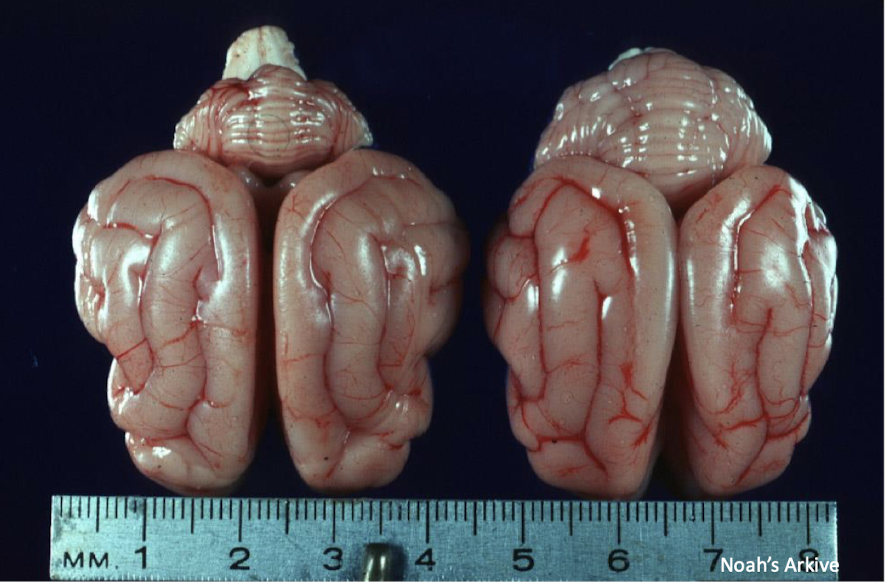 <p>What is this an example of?</p>